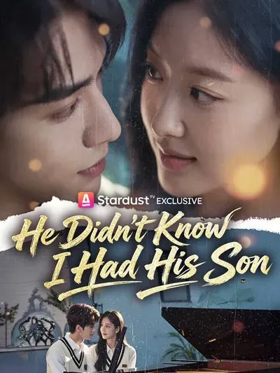 He Didn’t Know I Had His Son poster