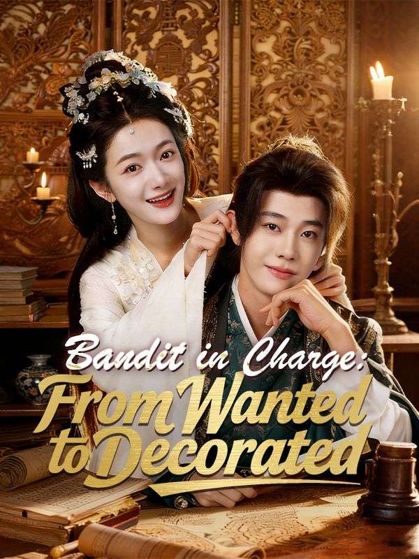 Bandit in Charge: From Wanted to Decorated poster