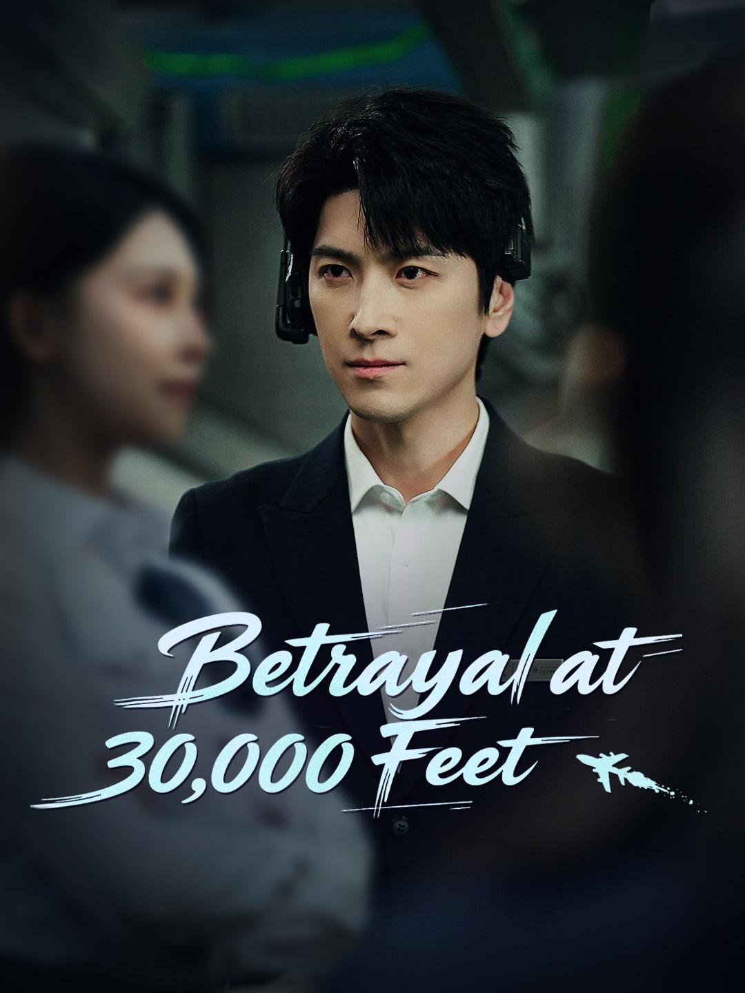 Betrayal at 30,000 Feet poster