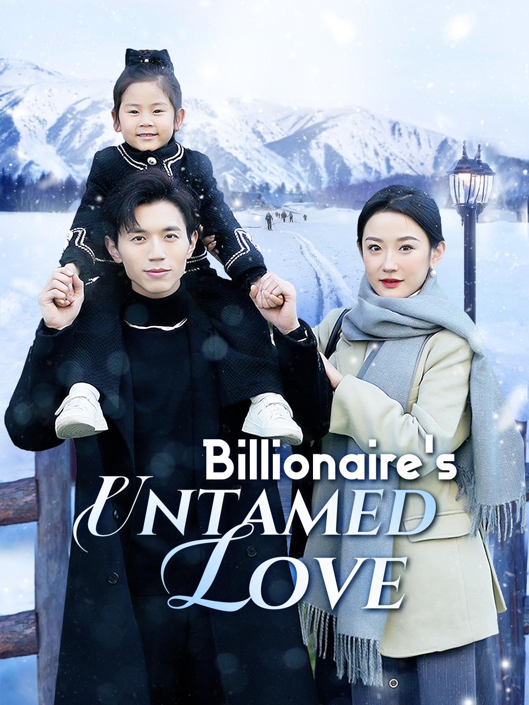 Billionaire's Untamed Love poster