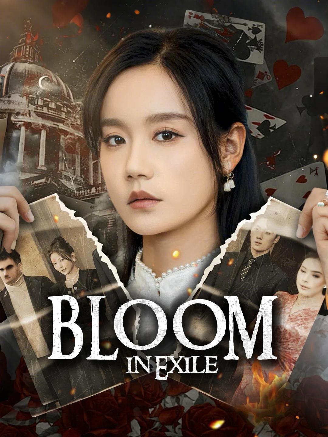 Bloom in Exile poster
