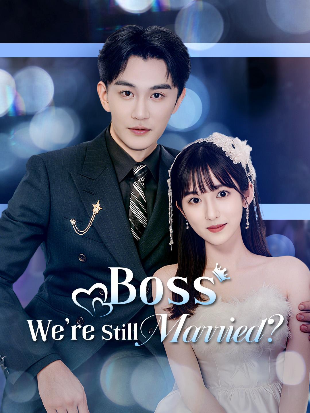 Boss, We’re Still Married? poster