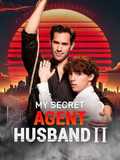 My Secret Agent Husband 2 poster