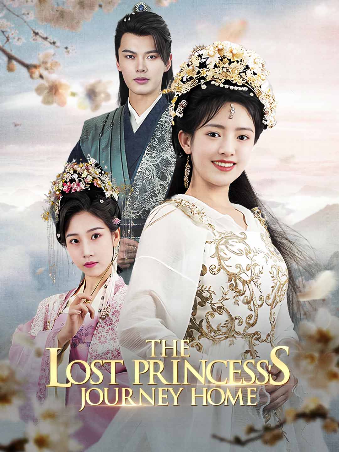 The Lost Princess's Journey Home poster