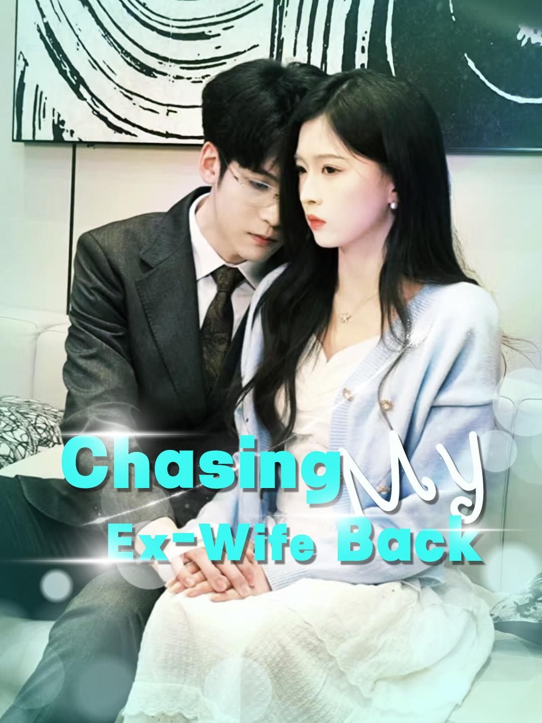 Chasing My Ex-Wife Back poster