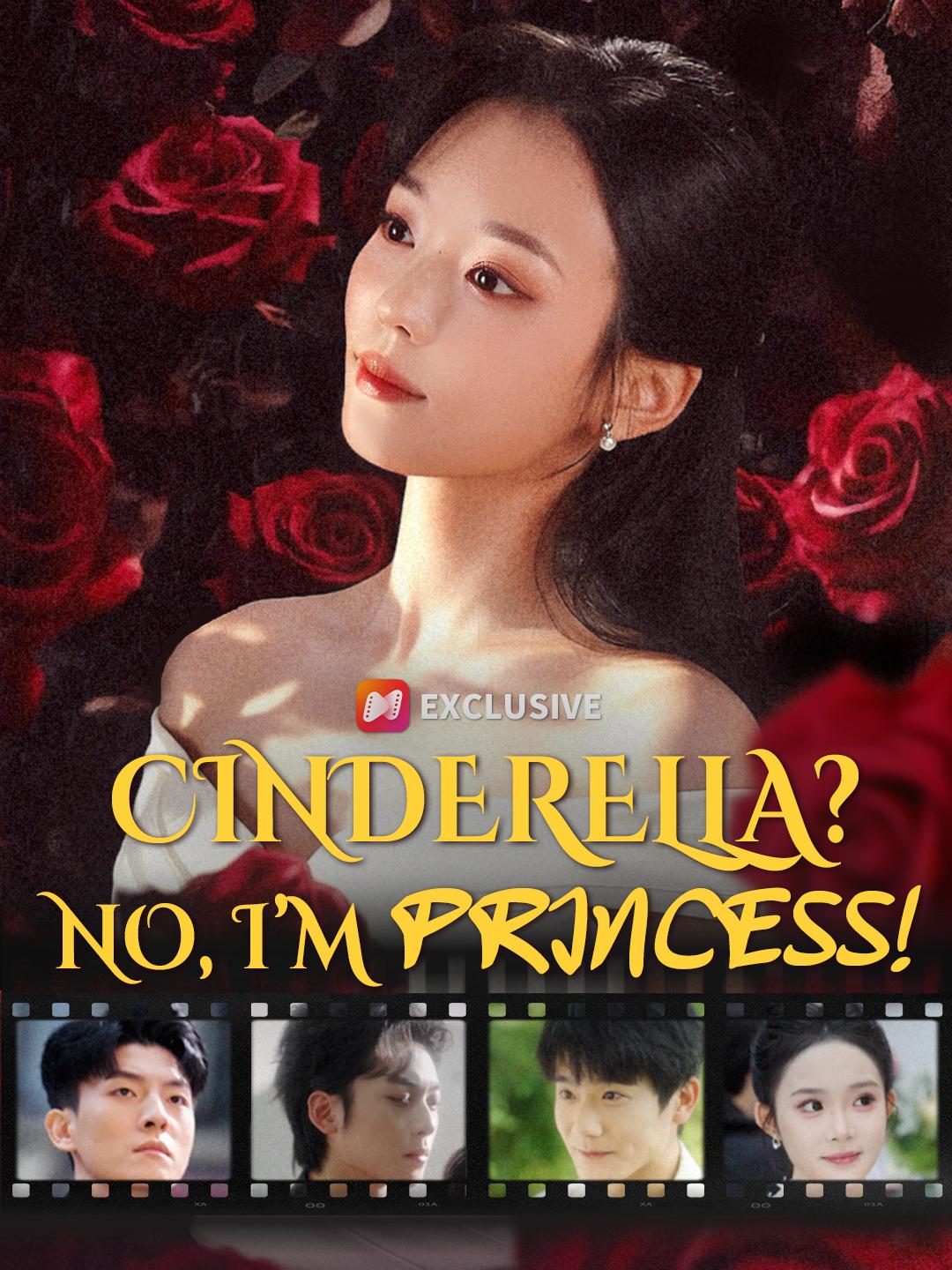 Cinderella? No, I’m Princess! poster