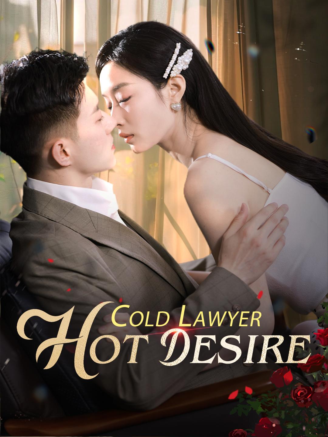 Cold Lawyer, Hot Desire poster