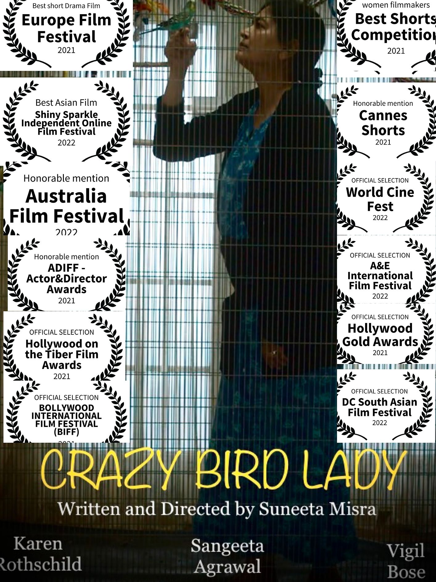 Crazy Bird Lady poster