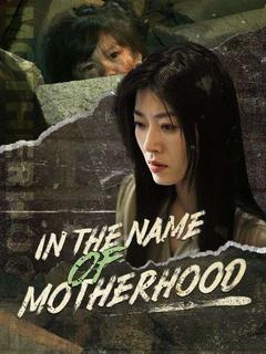 In the Name of Motherhood poster