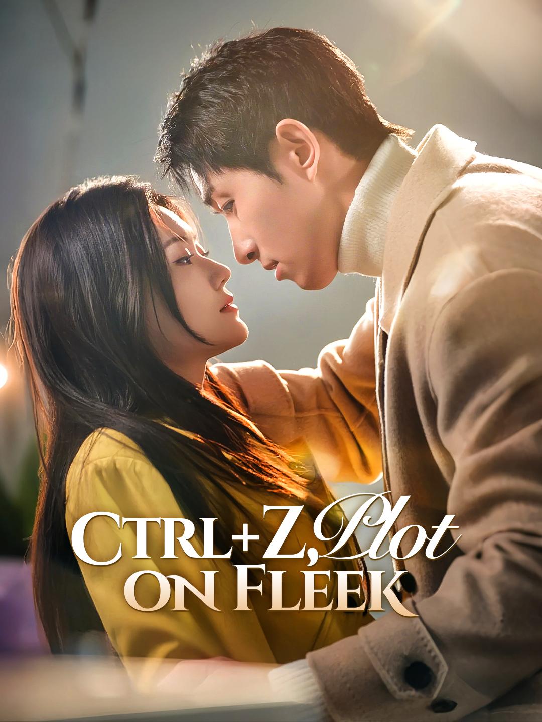Ctrl+Z, Plot on Fleek poster