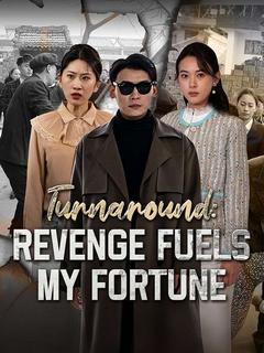 Turnaround: Revenge Fuels My Fortune poster
