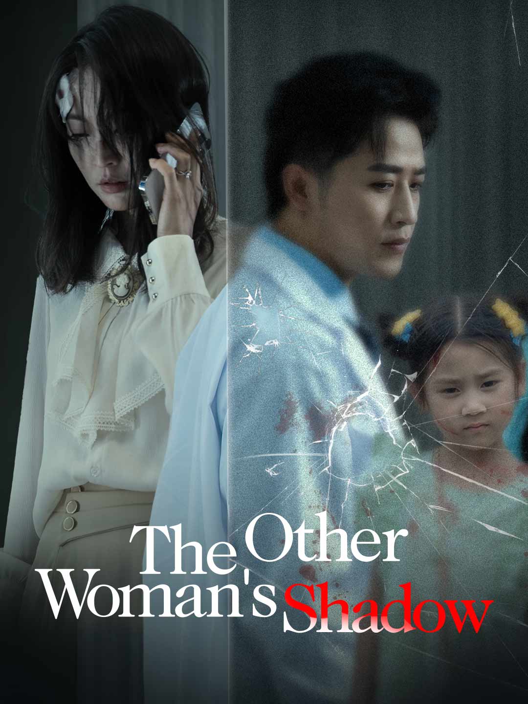 The Other Woman's Shadow poster