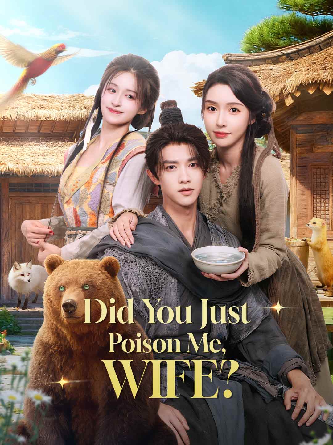 Did You Just Poison Me, Wife? poster