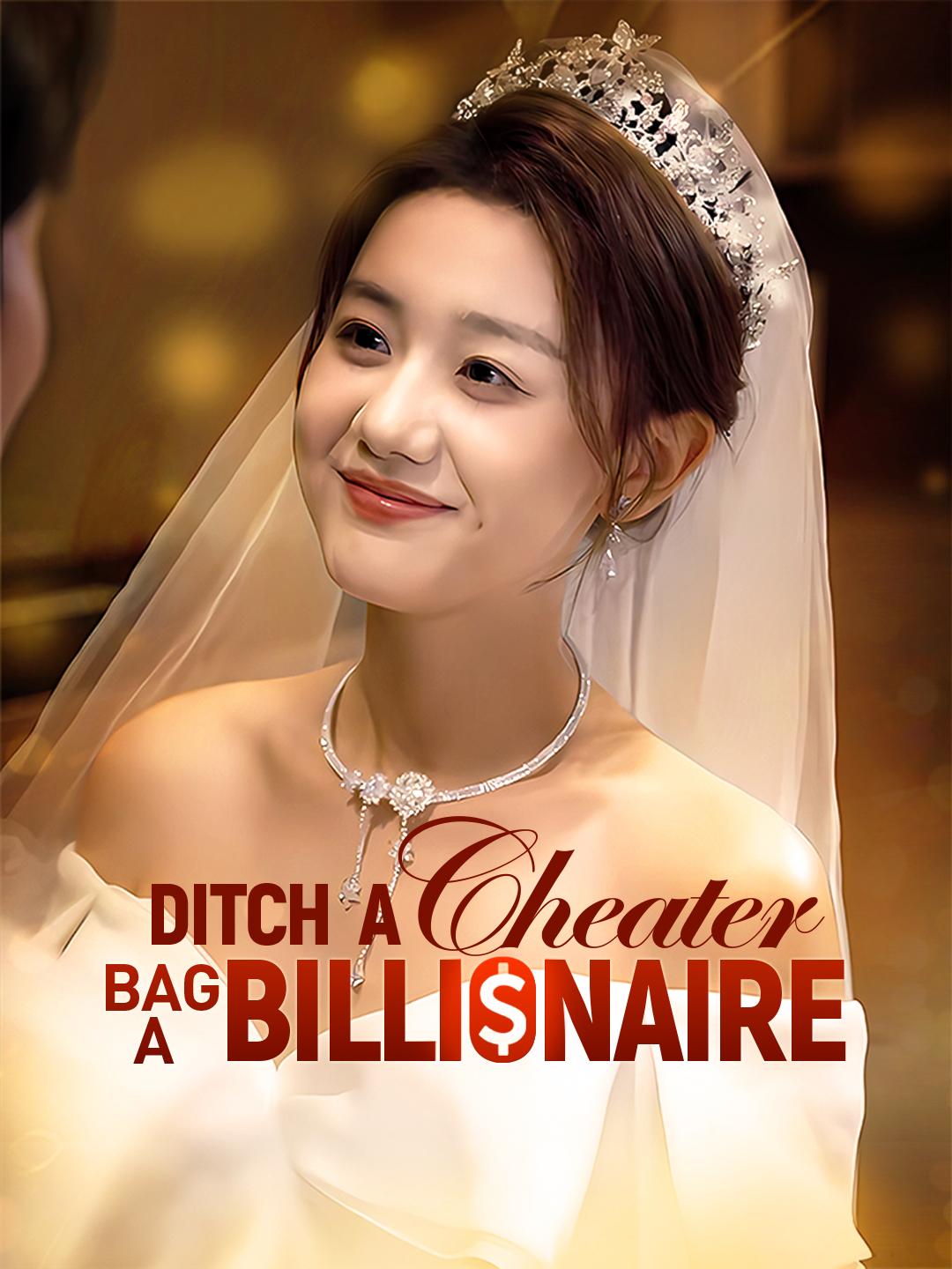 Ditch a Cheater, Bag a Billionaire poster