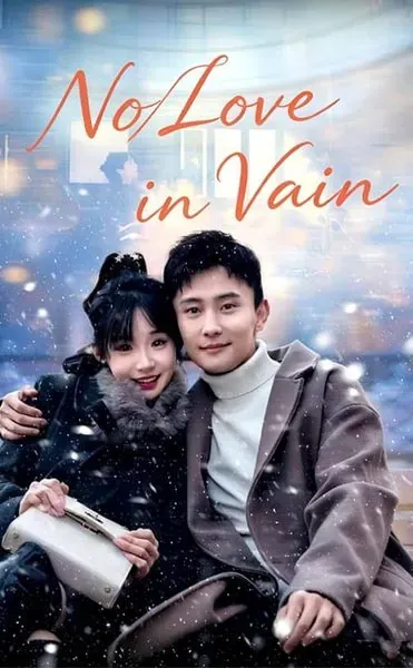 No Love in Vain poster