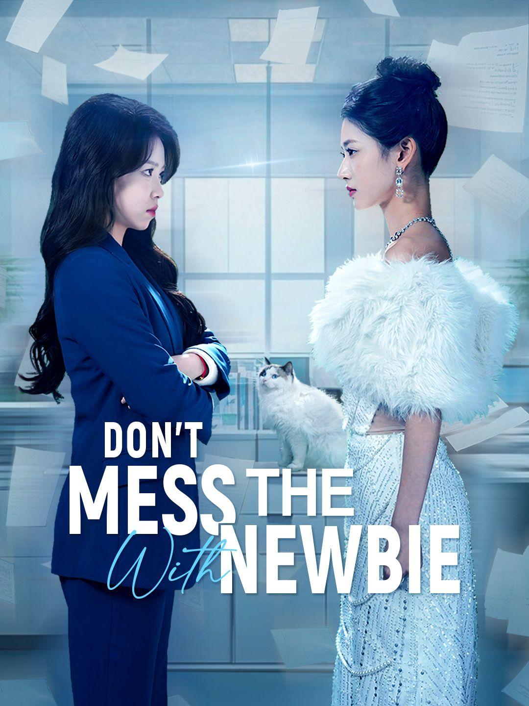 Don't Mess With the Newbie poster