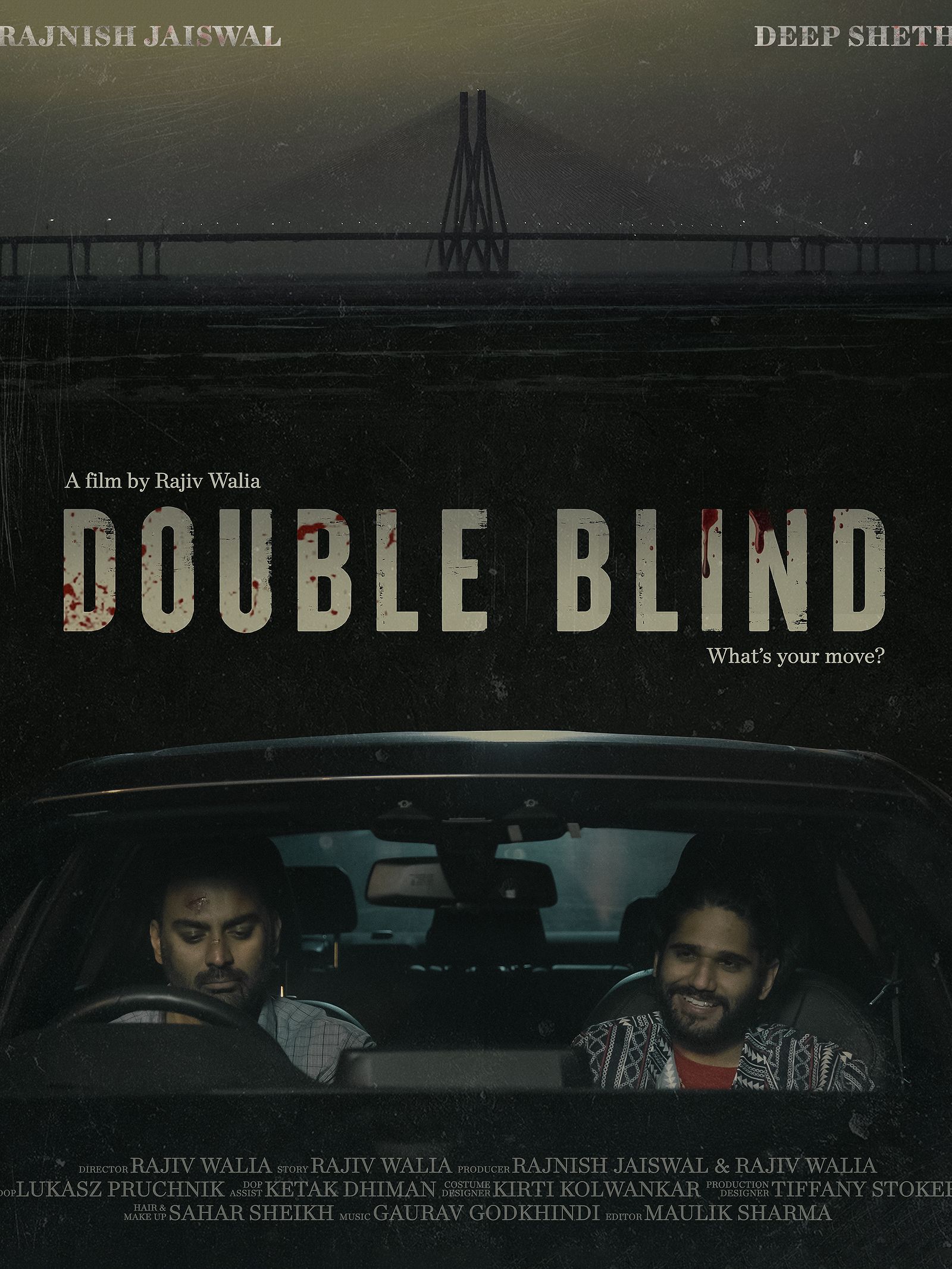 Double Blind poster
