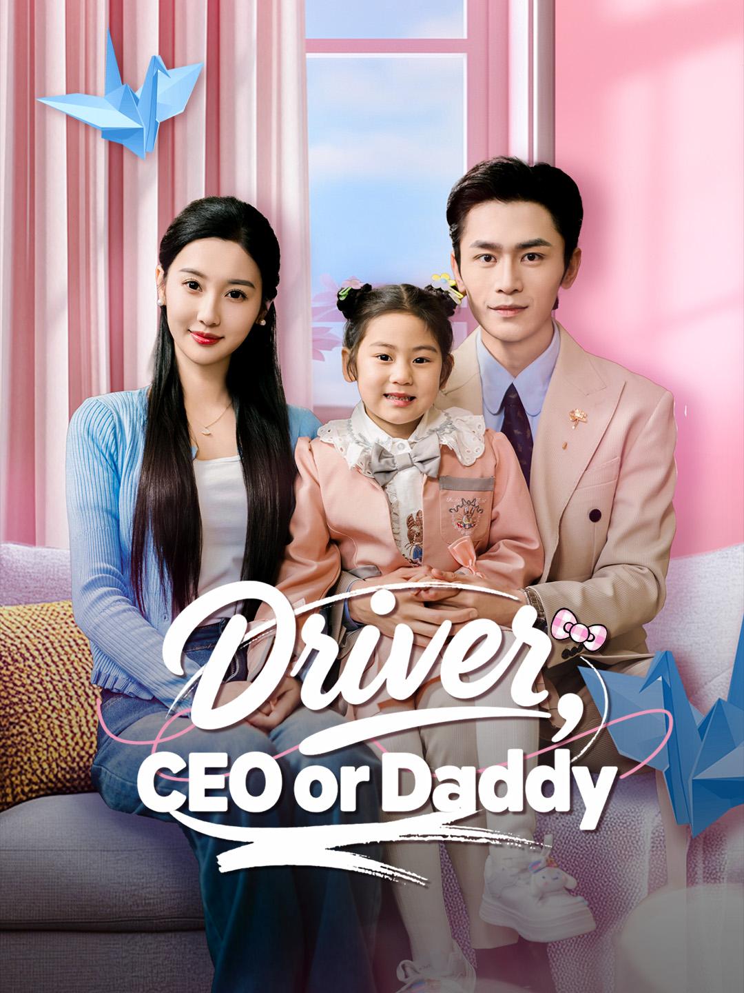 Driver, CEO or Daddy poster