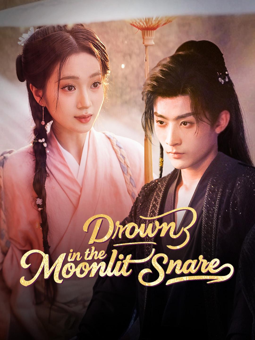 Drown in the Moonlit Snare poster