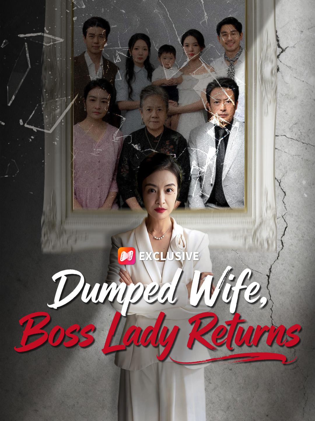 Dumped Wife, Boss Lady Returns poster