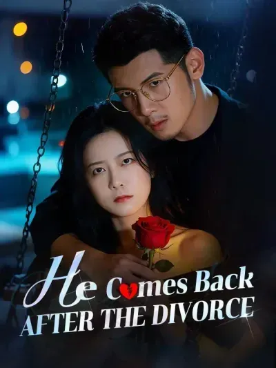 He Comes Back After the Divorce poster