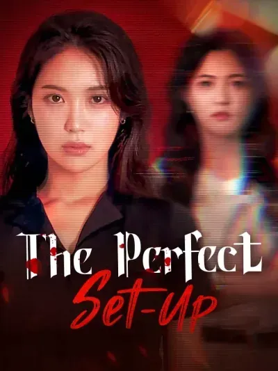 The Perfect Set-Up poster