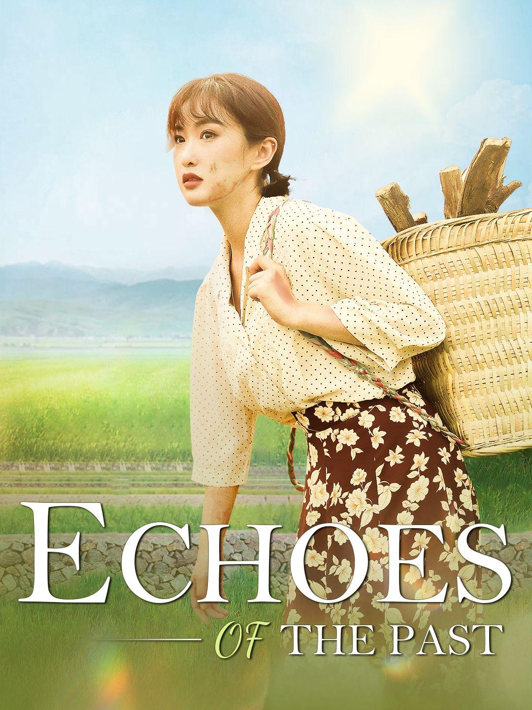 Echoes of the Past poster