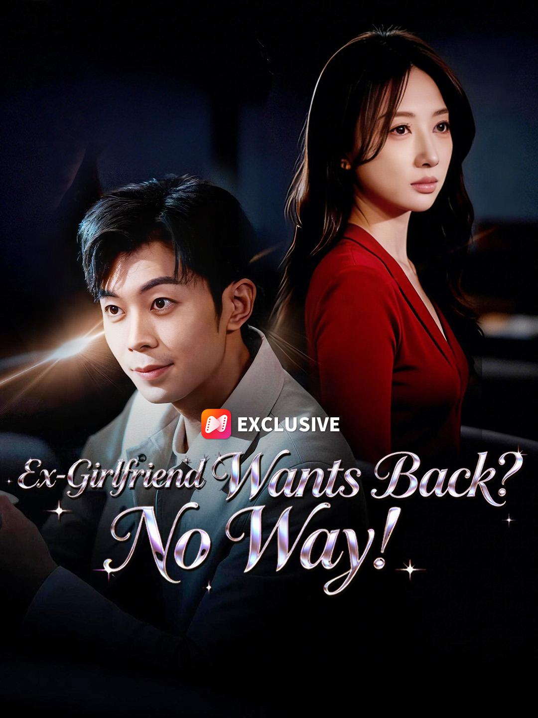 Ex-Girlfriend Wants Back? No Way! poster