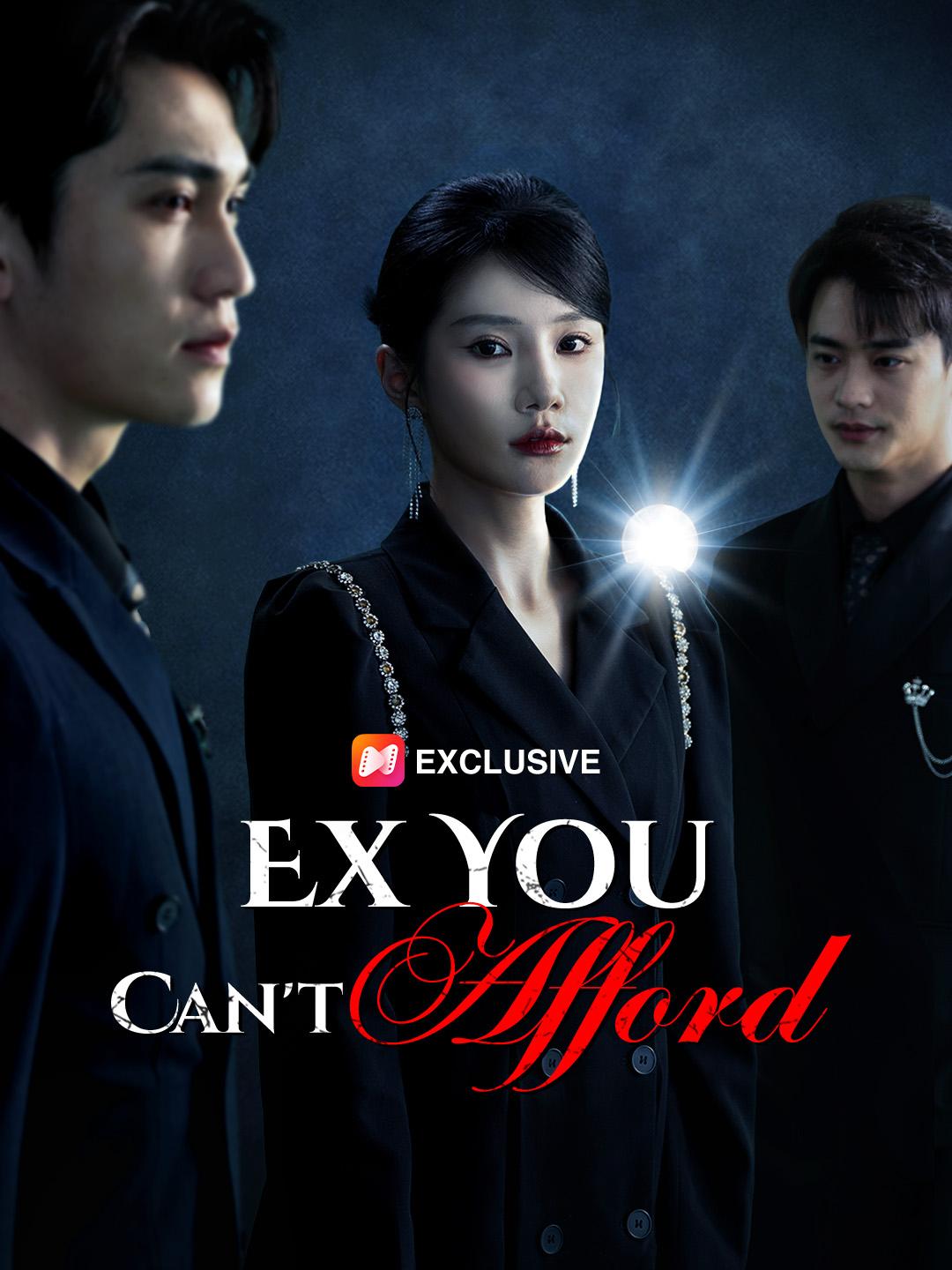 Ex You Can't Afford poster