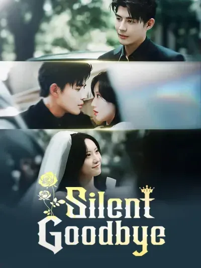 Silent Goodbye poster