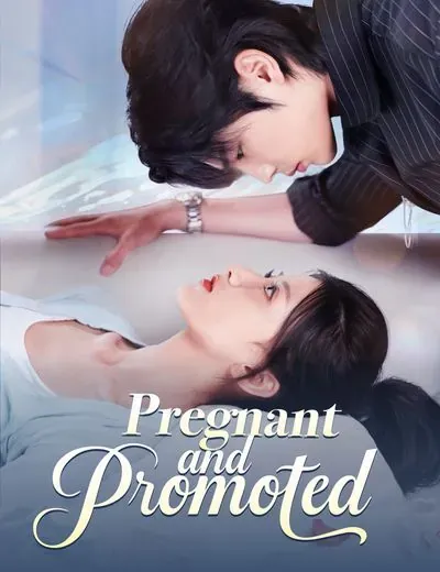 Pregnant and Promoted poster