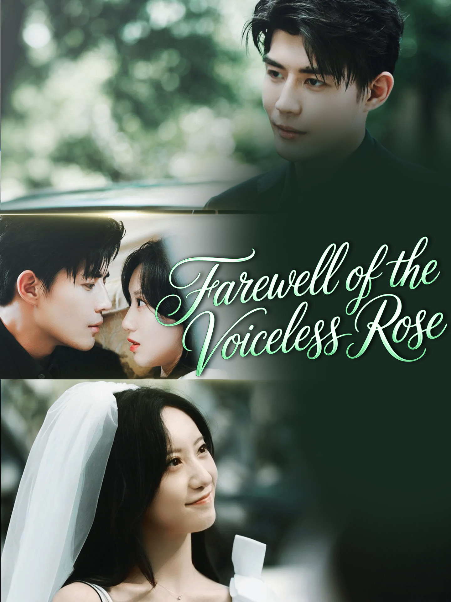 Farewell of the Voiceless Rose poster