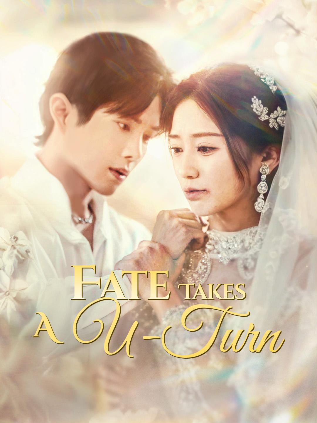 Fate Takes a U-Turn poster