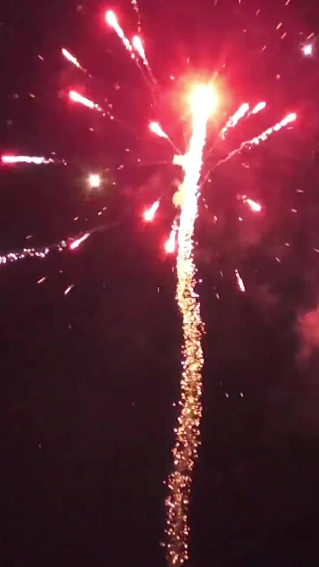 Father-In-Law's Deadly Scheme poster