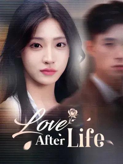 Love After Life poster