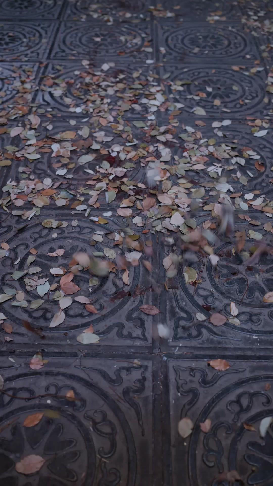 Foolish Young Master? I'm Fiend Lord! poster