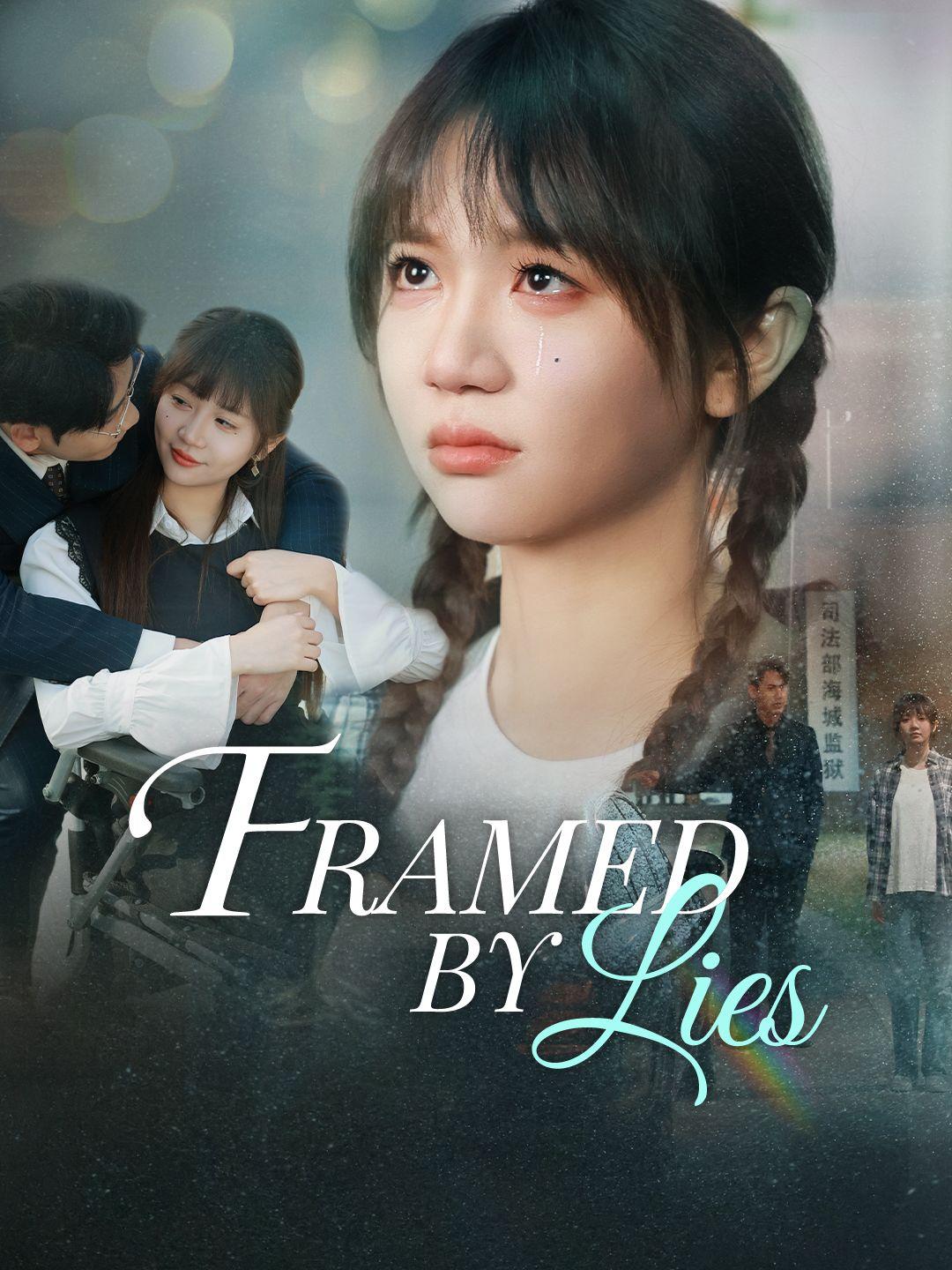 Framed by Lies poster