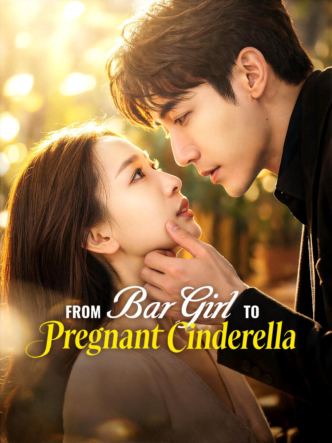 From Bar Girl to Pregnant Cinderella poster
