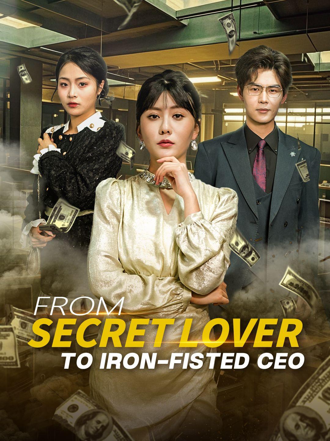From Secret Lover to Iron-fisted CEO poster