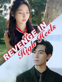 Revenge in High Heels poster