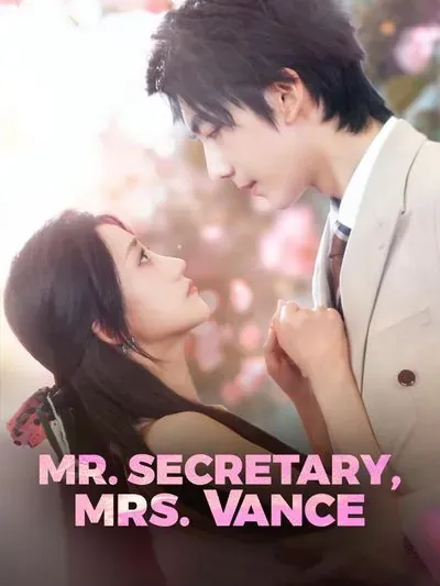 Mr. Secretary, Mrs. Vance poster