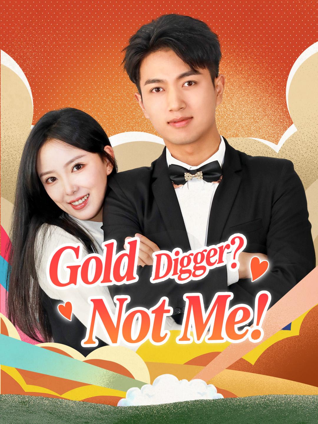 Gold Digger? Not Me! poster
