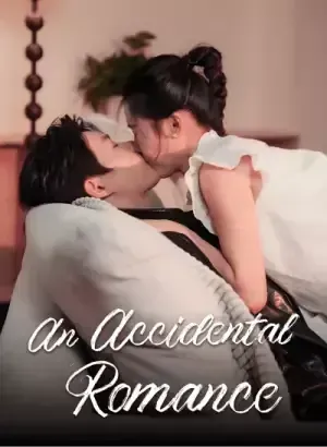 An Accidental Romance poster