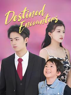 Destined Encounters poster
