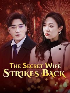 The Secret Wife Strikes Back poster