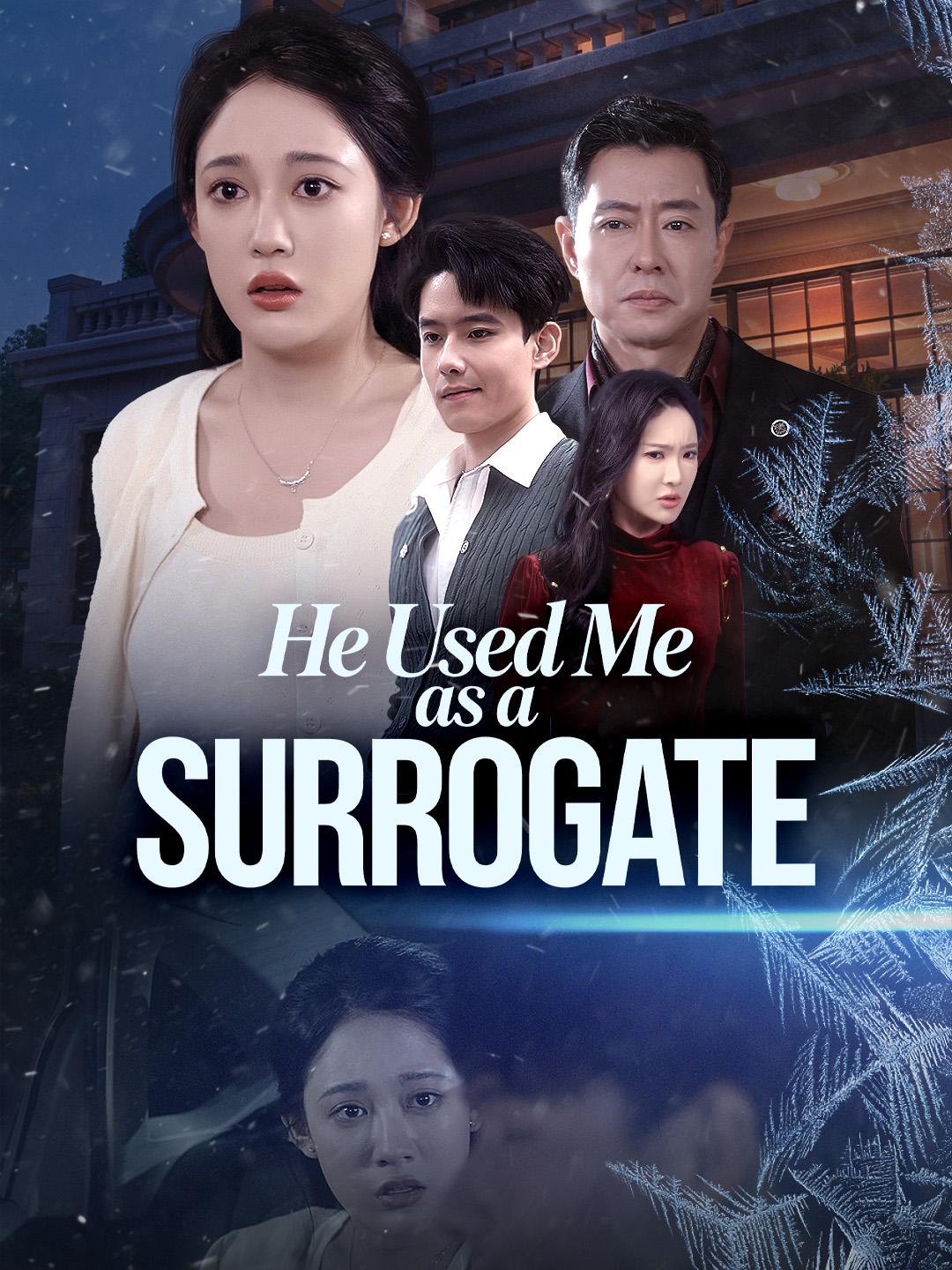 He Used Me as a SURROGATE poster