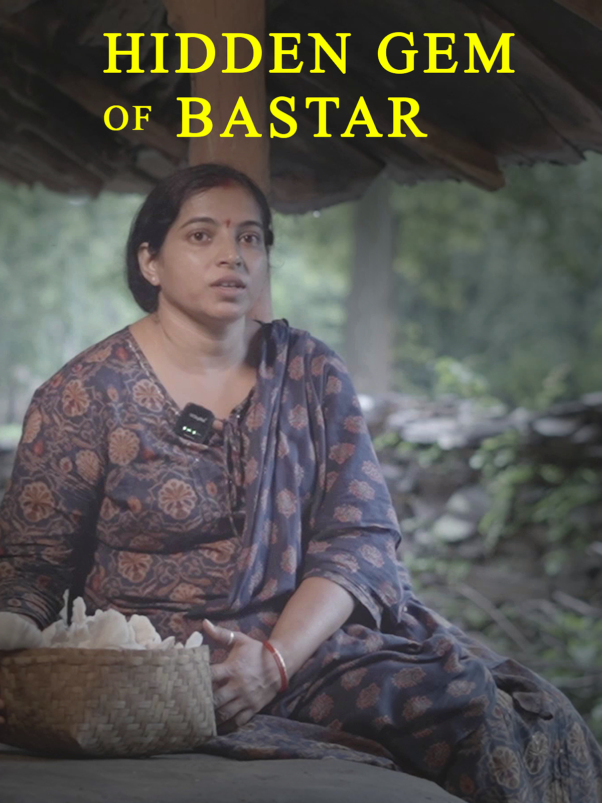 Hidden Gem Of Bastar poster