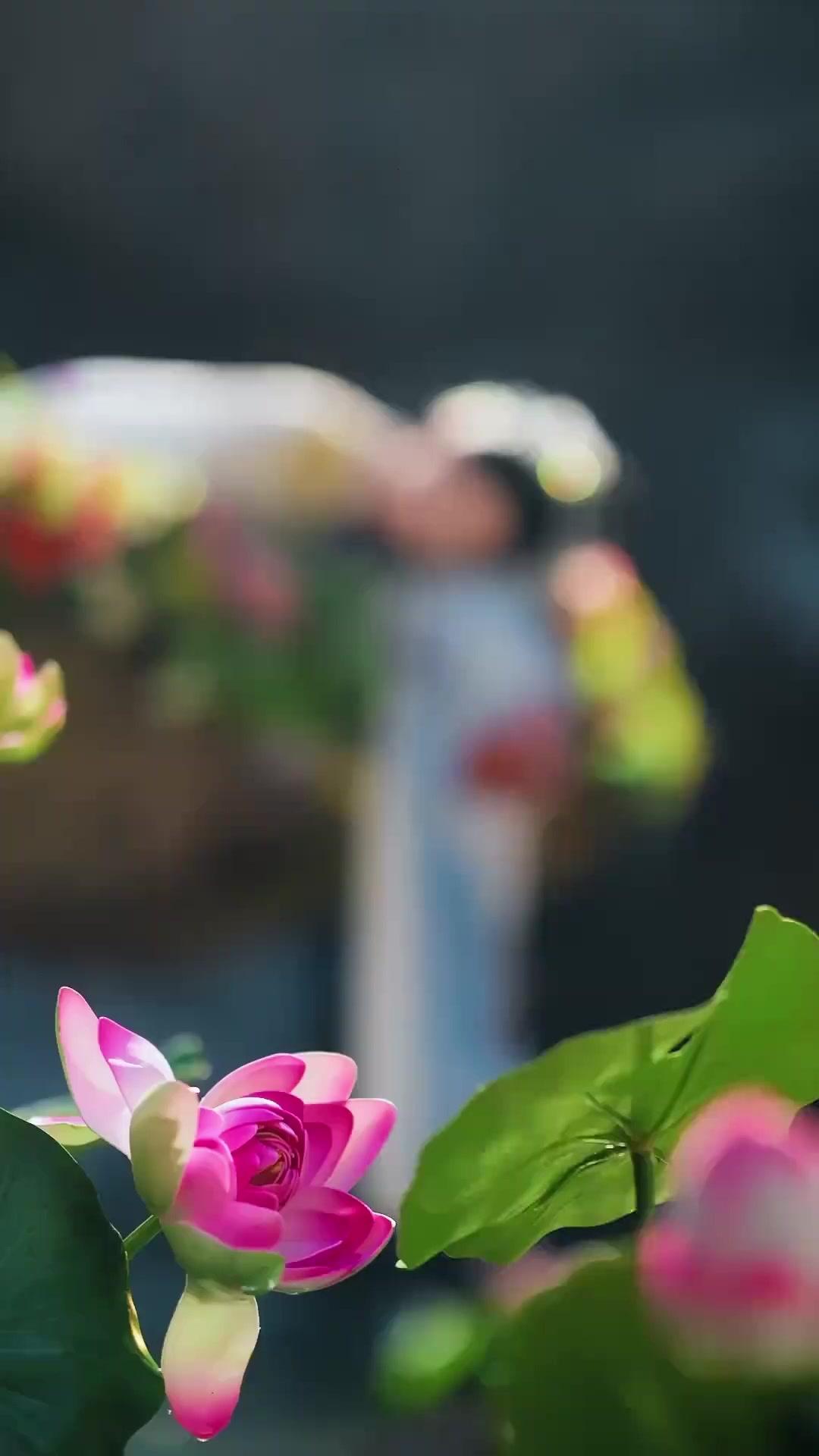 His Lucky Princess Fixed It All poster