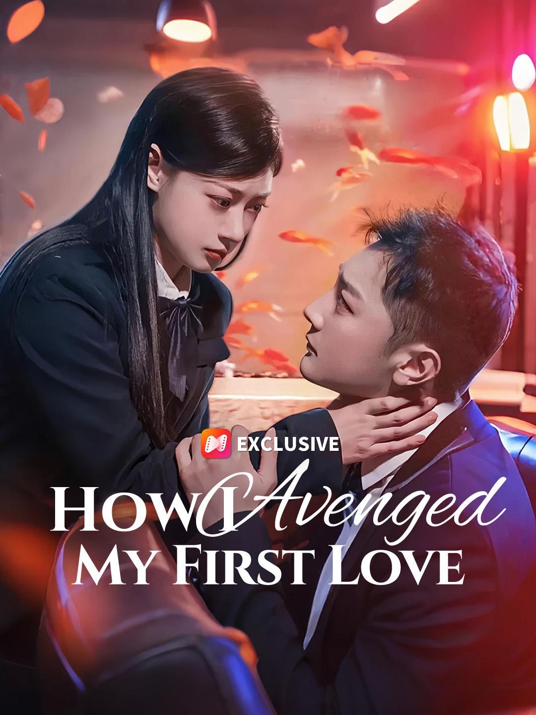 How I Avenged My First Love poster