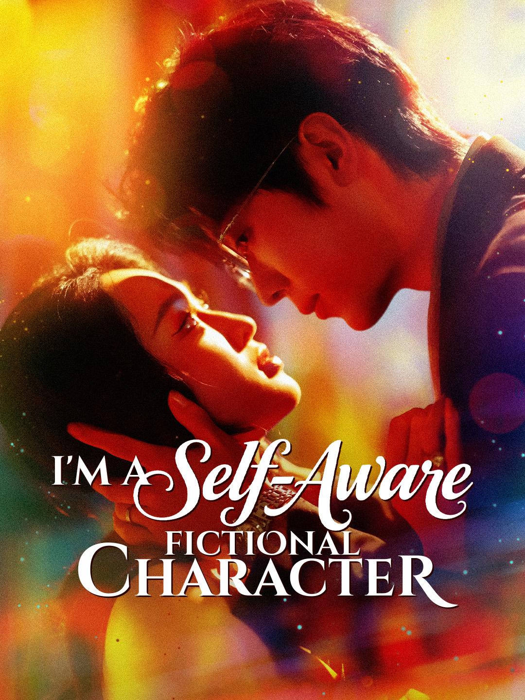 I'm a Self-Aware Fictional Character poster